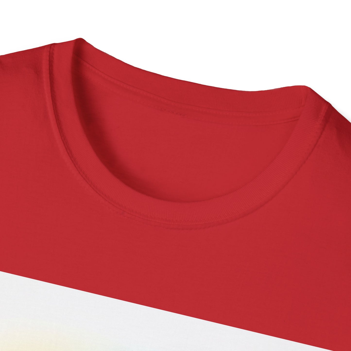 Neurospicy & Proud Dragon T-Shirt | Kawaii ADHD Pride Tee, Autism Acceptance Shirt, Cute Fantasy Anime Top